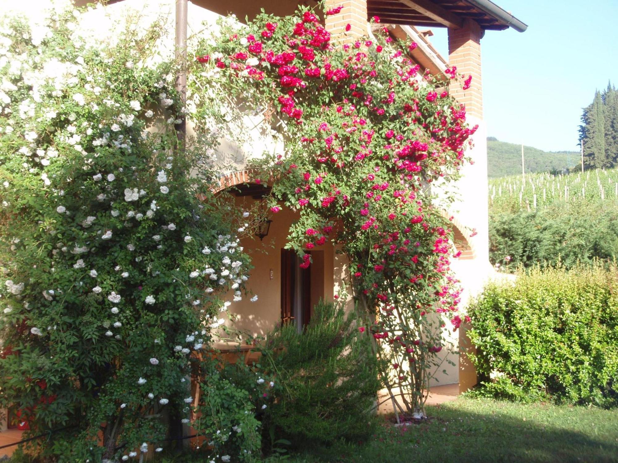 Villa Buonasera Agriturismo Greve in Chianti Exterior photo